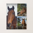 Recherche de horse puzzles Mignon