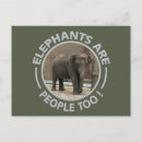 Recherche de zoo photographie Éléphant