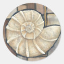 Recherche de de coquillages autocollants Grand coquillage