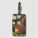 Suche nach niedliches eichhörnchen gepäckanhänger Natur