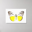 Suche nach hübscher schmetterling leinwandbilder Natur