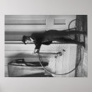 Suche nach frau auf fahrrad poster Gekleidet