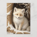 Recherche de renard blanc cartes postales Vintage