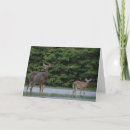 Recherche de expression toutes vœux cartes Toutes les occasions