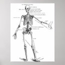 Recherche de schéma posters Croquis
