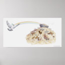 Suche nach noahs arche poster Schiff