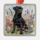Recherche de corso de canne ornements Chien