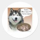 Suche nach alaskan malamute aufkleber Hund