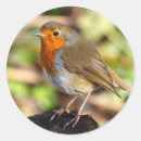 Recherche de cambriolage autocollants Oiseau