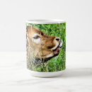 Recherche de veau de vache tasses Mignon