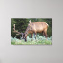 Suche nach samt kunst Natur