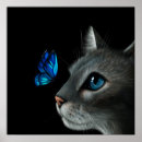 Suche nach blaue katze poster Kitty