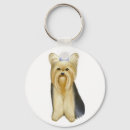 Suche nach yorkshire terrier schlüsselanhänger Malerei