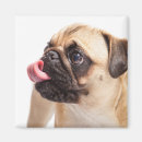 Suche nach lustiger mops magnete Cool