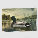 Recherche de rag cartes postales Canard colvert