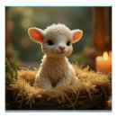 Recherche de agneau posters Mignon
