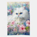 Recherche de chat persan table linges Chaton