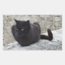 Recherche de black cat autocollants Félin