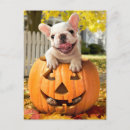 Suche nach lustiger kürbis einladungen Humor