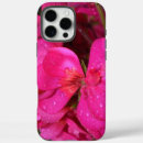 Recherche de de pomme coques Rose