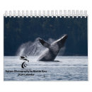 Recherche de baleine calendriers Faune