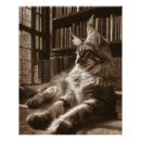 Suche nach maine coon poster Generativer inhalt