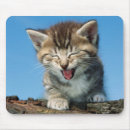 Recherche de aide tapis souris Humour