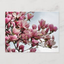 Suche nach 79 postkarten Blume