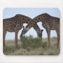 Suche nach lassen sie weiden mousepads Zusammengehörigkeit