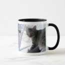 Recherche de chat tigre tasses Mignon