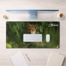 Suche nach roter fuchs mousepads Waldland