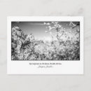 Recherche de poires cartes postales Printemps