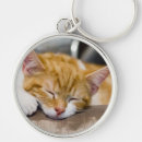 Recherche de cute kitten porteclés Adorable