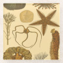 Suche nach älg untersetzer Anemone