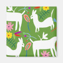 Recherche de lamas magnete Le costa rica
