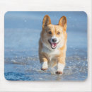 Recherche de corgi pembroke tapis souris Océan