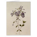 Recherche de fleurs 19ème cartes postales Privé