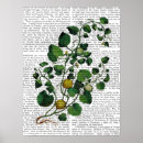 Suche nach squash geschenke Veggie