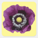 Suche nach mohn aufkleber Natur