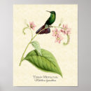 Recherche de taille posters Floral