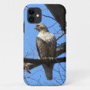Suche nach vogel fall iphone hüllen Natur
