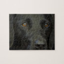 Recherche de labrador noir puzzles Chiot