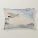 Recherche de plumage coussins Oiseaux
