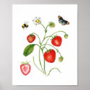 Suche nach erdbeeren poster Botanisch