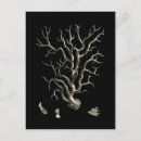 Recherche de barrière de plage cartes postales Océan