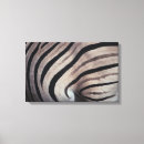 Suche nach tierhaut leinwandbilder Tierhaare