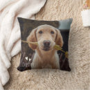 Recherche de animaux mignons coussins Pour elle