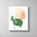 Suche nach hortensia poster Pflanze