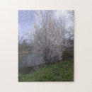 Recherche de fleurs blanches puzzles Amusant