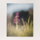 Suche nach orchideen puzzle Botanisch